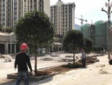 市政工程